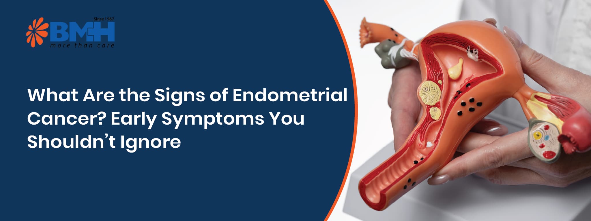 What Are the Signs of Endometrial Cancer01